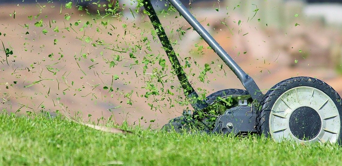 Tipps zur Rasenpflege