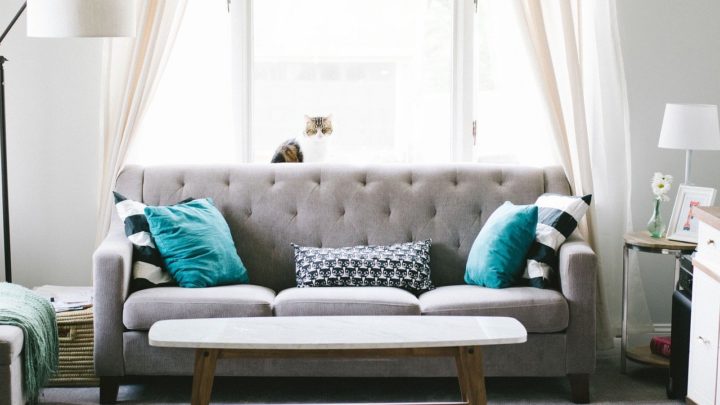5 Dinge, die Sie vor dem Kauf eines Sofas beachten sollten